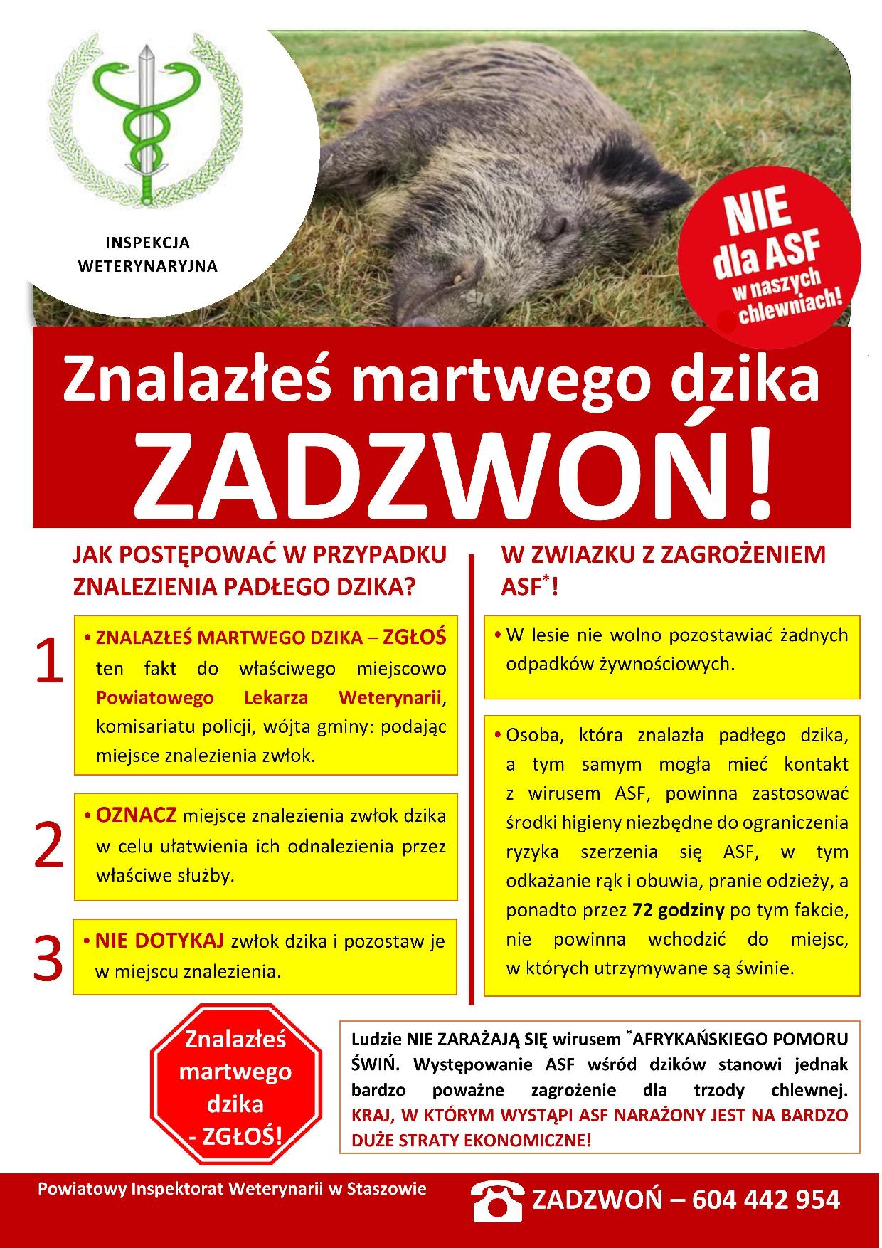 asf- dzik-page-001.jpg