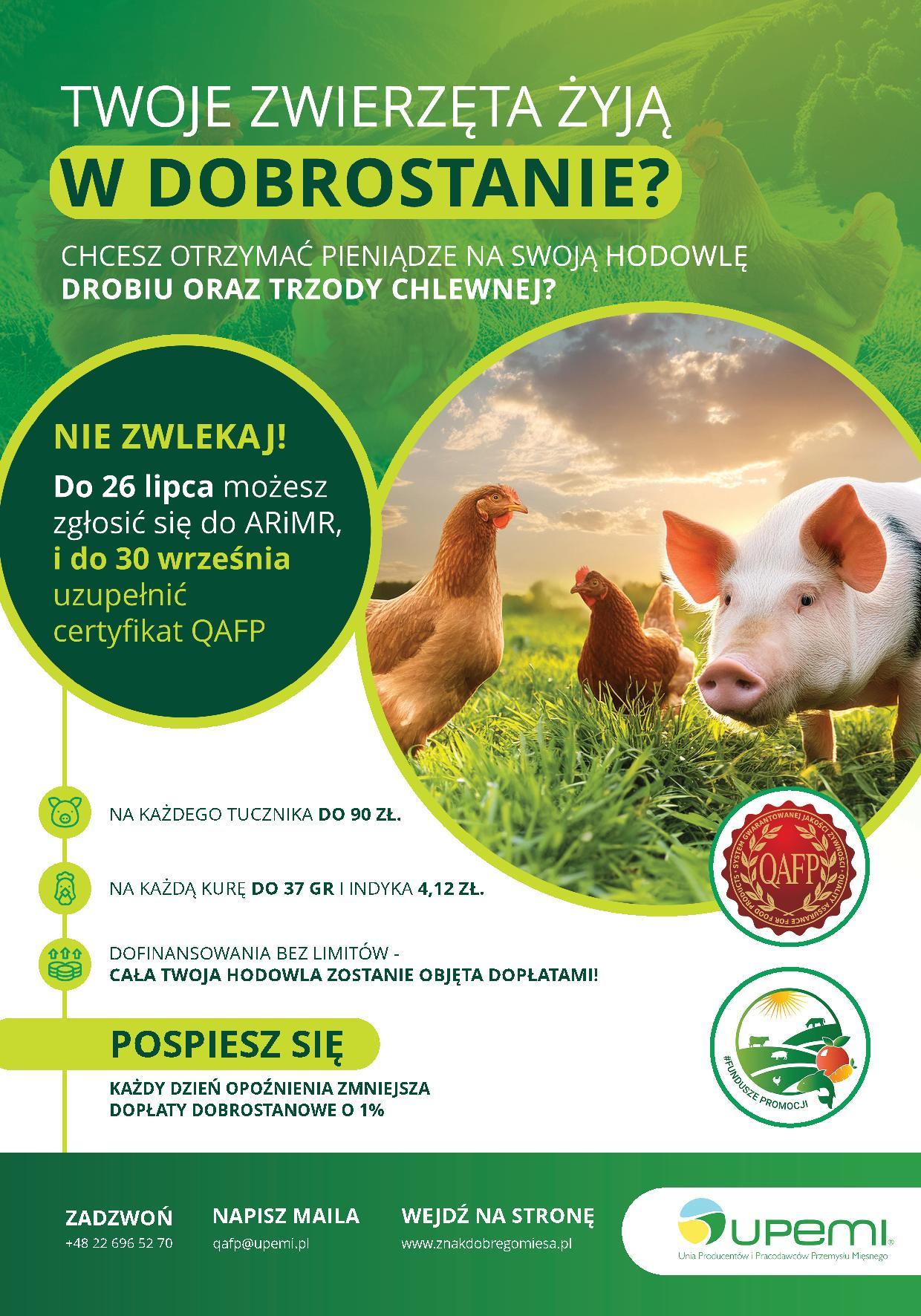 qafp_plakat_A4_5.07-2-page-001.jpg