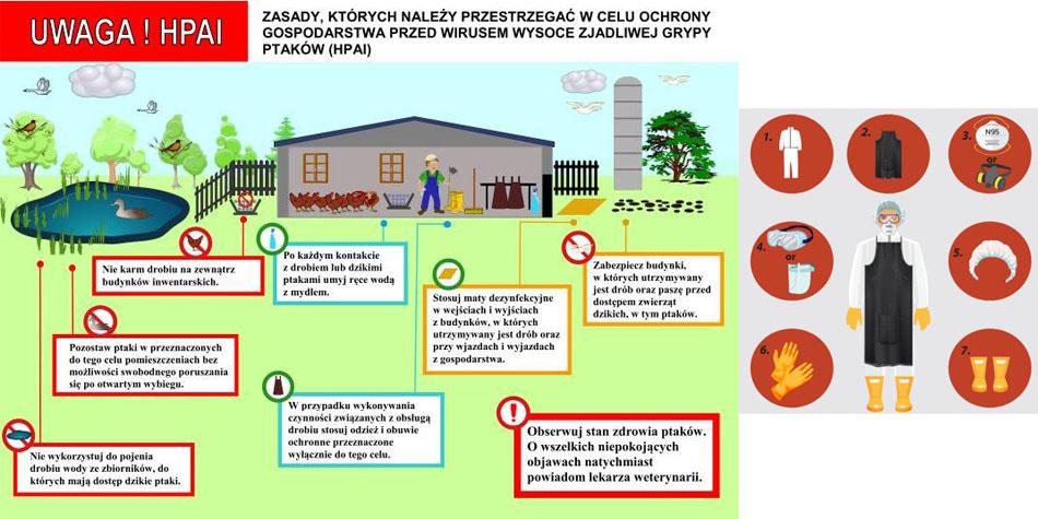 grypa-ptakow-komunikat-19-09-2024-950475.jpg